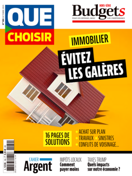 Magazine : Que Choisir Budgets