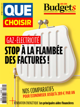 Magazine : Que Choisir Budgets